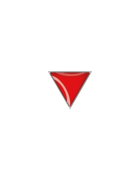 Triangle rouge contre le fascisme (Pin's Ras l'Front)