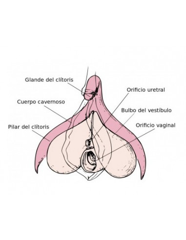 Porte-clés Clitoris