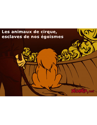 Les animaux de cirque, esclaves de...