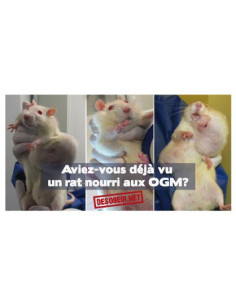 Sticker danger OGM (rat)