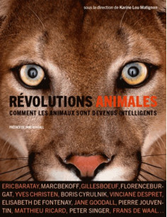  Révolutions animales - Comment les animaux sont devenus intelligents