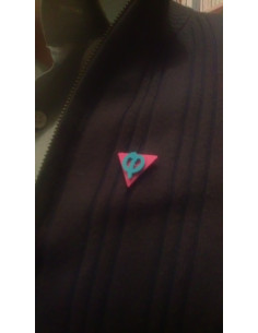 Triangle rouge contre le fascisme avec Phi bleu pour la France insoumise (FI) (pin's)