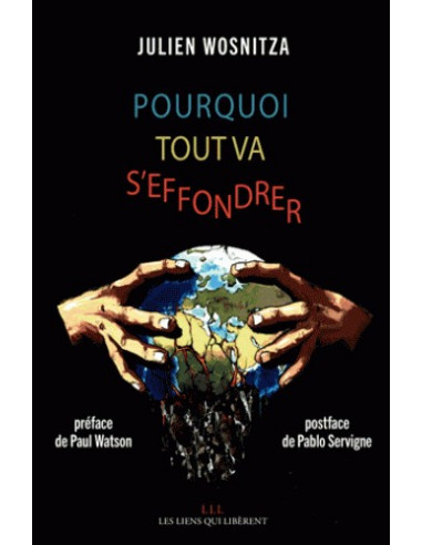 Pourquoi tout va s'effondrer (Julien Wosnitza)