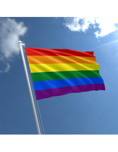 Drapeau LGBT QIA+ (gay flag)